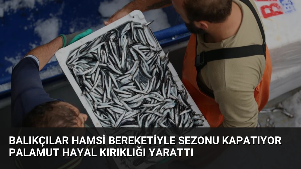 Balıkçılar Hamsi Bereketiyle Sezonu Kapatıyor Palamut Hayal Kırıklığı Yarattı