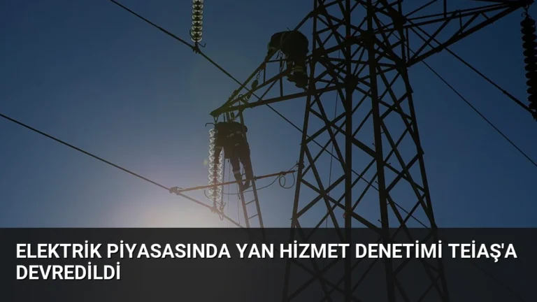Elektrik Piyasasında Yan Hizmet Denetimi TEİAŞ’a Devredildi