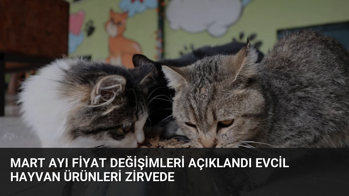 Mart Ayı Fiyat Değişimleri Açıklandı Evcil Hayvan Ürünleri Zirvede