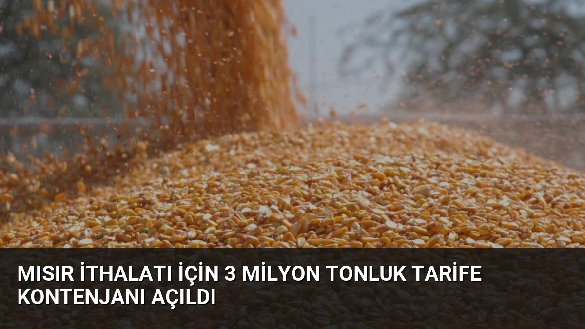 Mısır İthalatı İçin 3 Milyon Tonluk Tarife Kontenjanı Açıldı