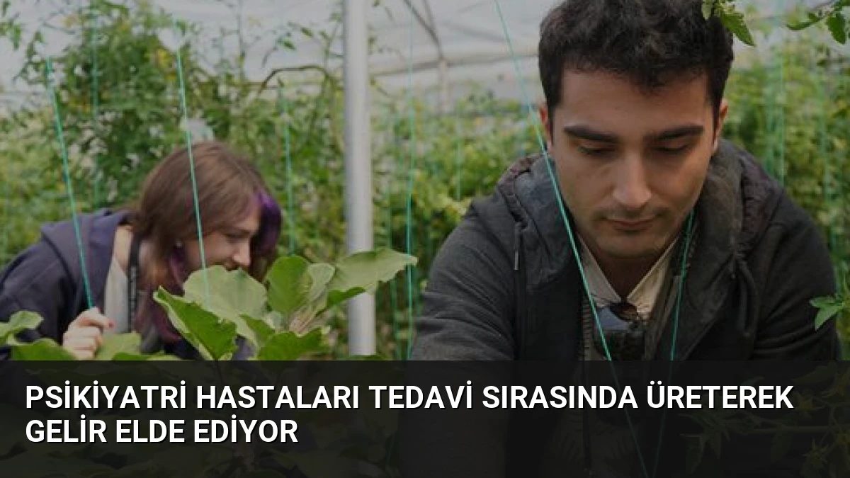 Psikiyatri Hastaları Tedavi Sırasında Üreterek Gelir Elde Ediyor