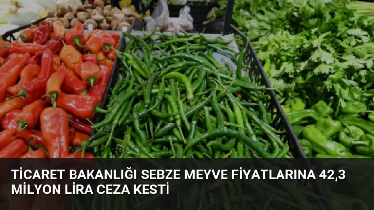 Ticaret Bakanlığı Sebze Meyve Fiyatlarına 42,3 Milyon Lira Ceza Kesti