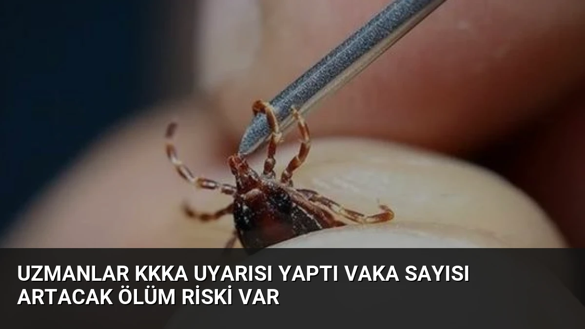Uzmanlar KKKA Uyarısı Yaptı Vaka Sayısı Artacak Ölüm Riski Var
