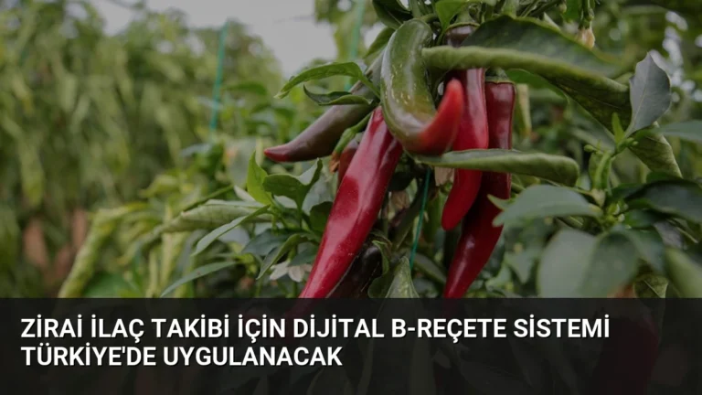 Zirai İlaç Takibi İçin Dijital B-Reçete Sistemi Türkiye’de Uygulanacak
