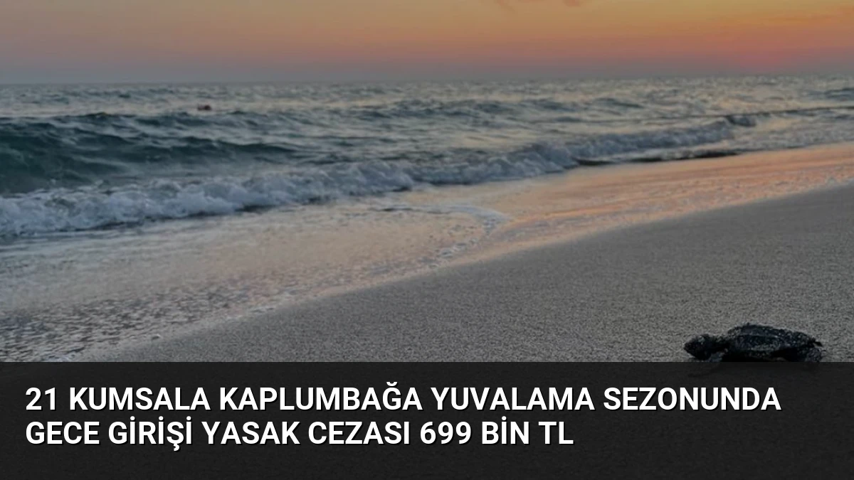 21 Kumsala Kaplumbağa Yuvalama Sezonunda Gece Girişi Yasak Cezası 699 Bin TL