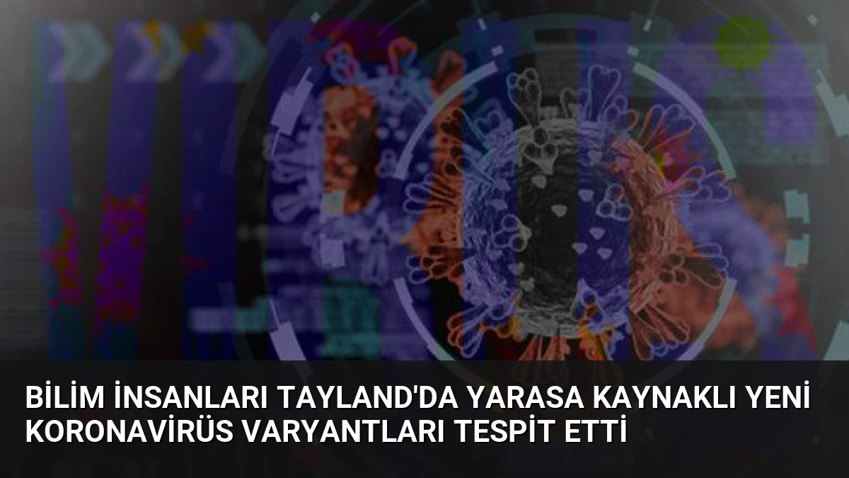 Bilim İnsanları Tayland’da Yarasa Kaynaklı Yeni Koronavirüs Varyantları Tespit Etti