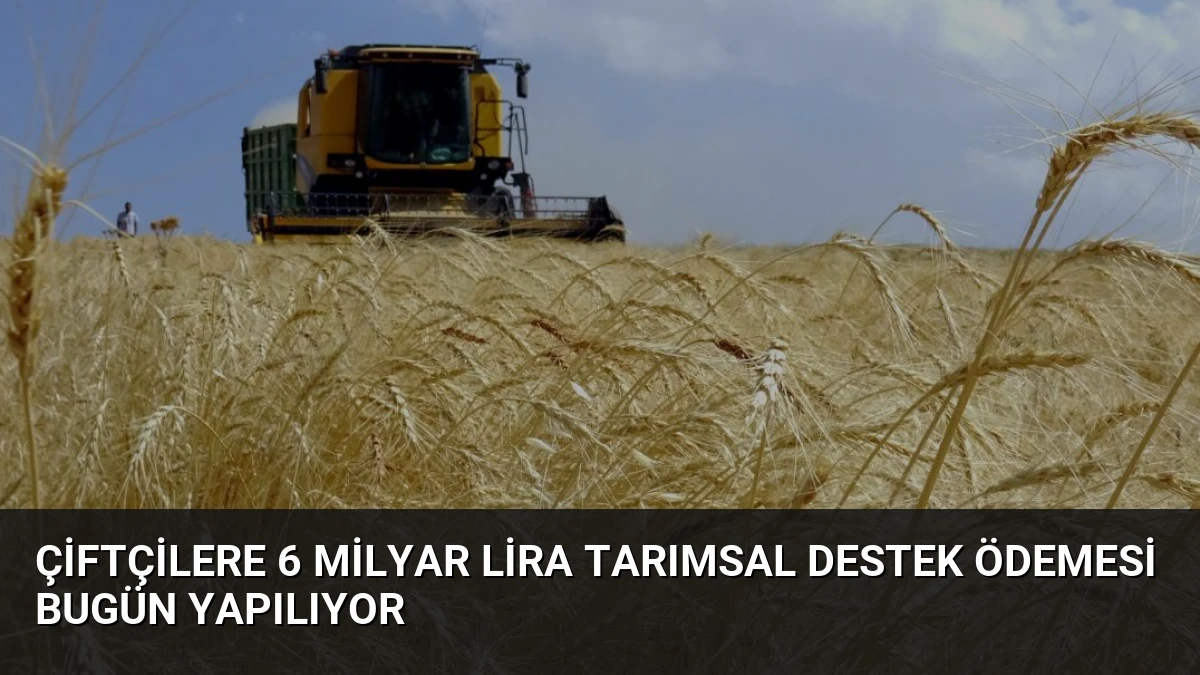 Çiftçilere 6 Milyar Lira Tarımsal Destek Ödemesi Bugün Yapılıyor