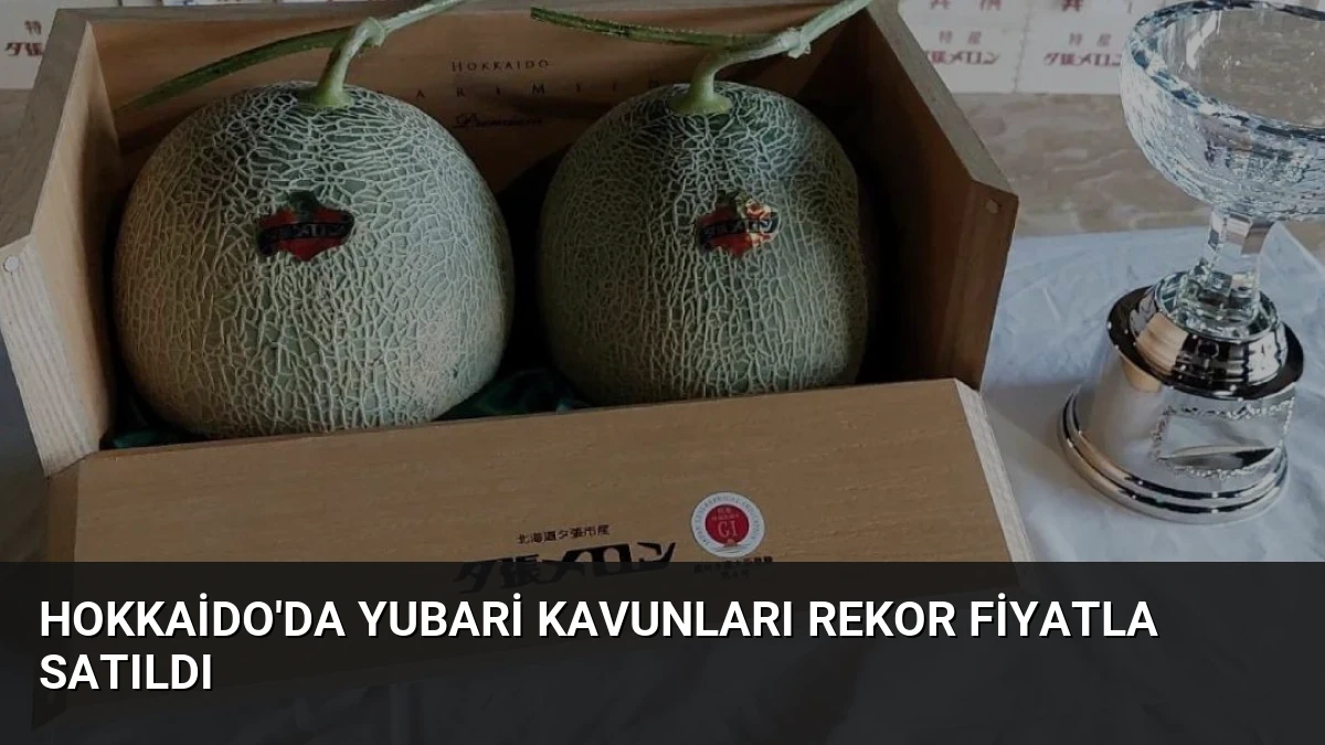 Hokkaido’da Yubari Kavunları Rekor Fiyatla Satıldı