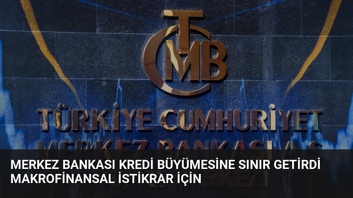 Merkez Bankası Kredi Büyümesine Sınır Getirdi Makrofinansal İstikrar İçin