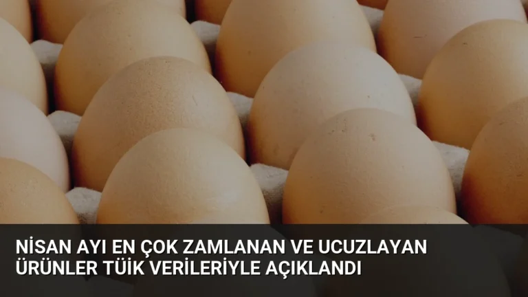 Nisan Ayı En Çok Zamlanan ve Ucuzlayan Ürünler TÜİK Verileriyle Açıklandı