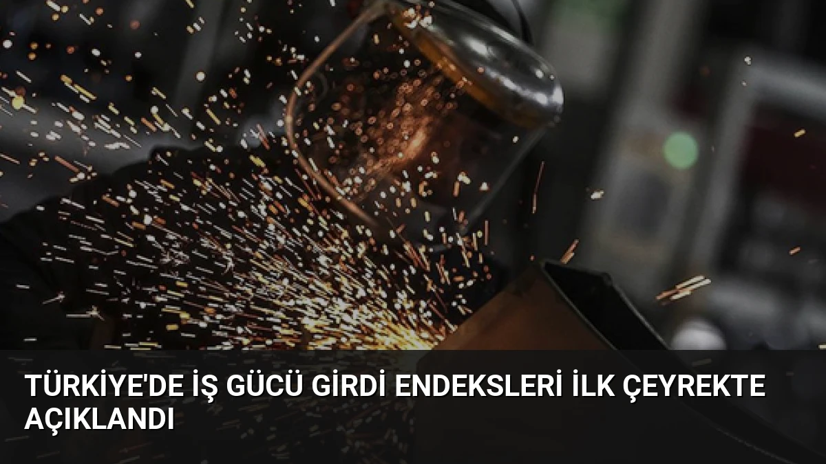 Türkiye’de İş Gücü Girdi Endeksleri İlk Çeyrekte Açıklandı