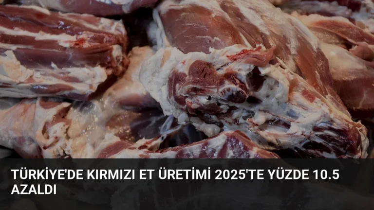 Türkiye’de Kırmızı Et Üretimi 2025’te Yüzde 10.5 Azaldı