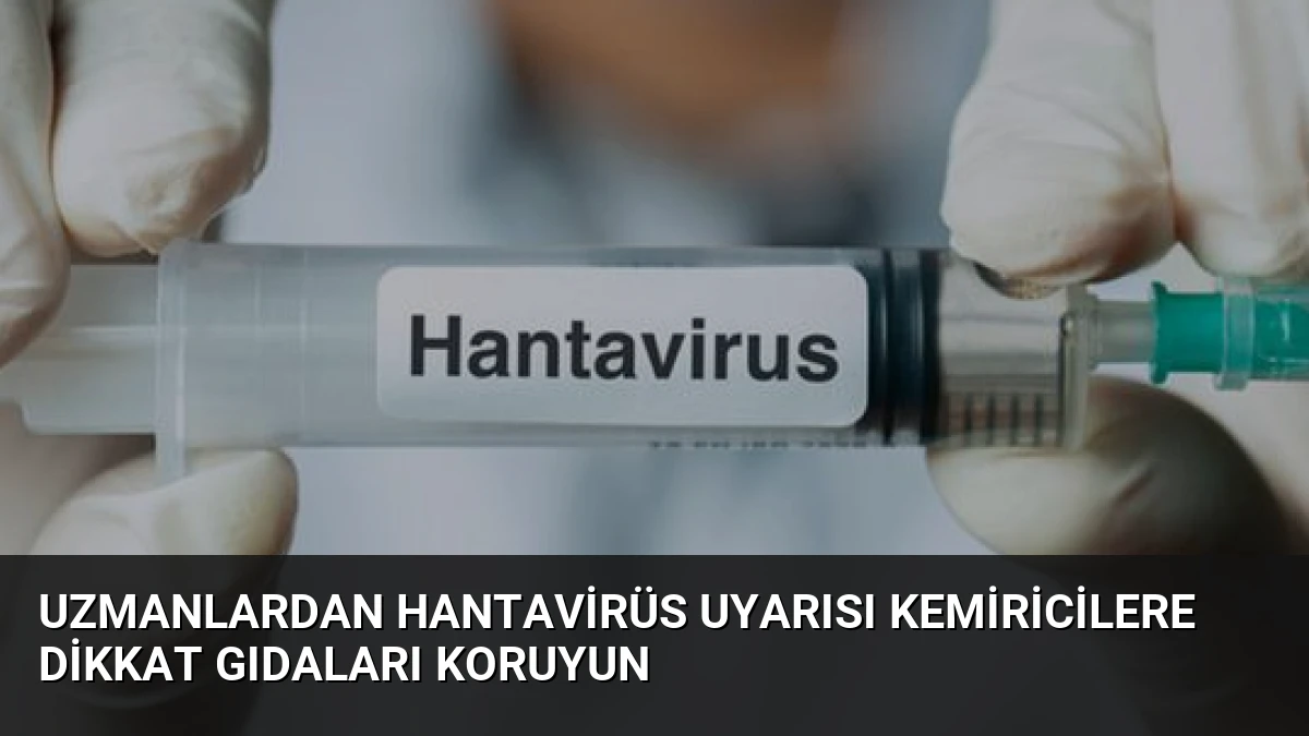 Uzmanlardan Hantavirüs Uyarısı Kemiricilere Dikkat Gıdaları Koruyun