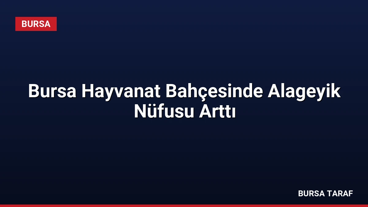 Bursa Hayvanat Bahçesinde Alageyik Nüfusu Arttı