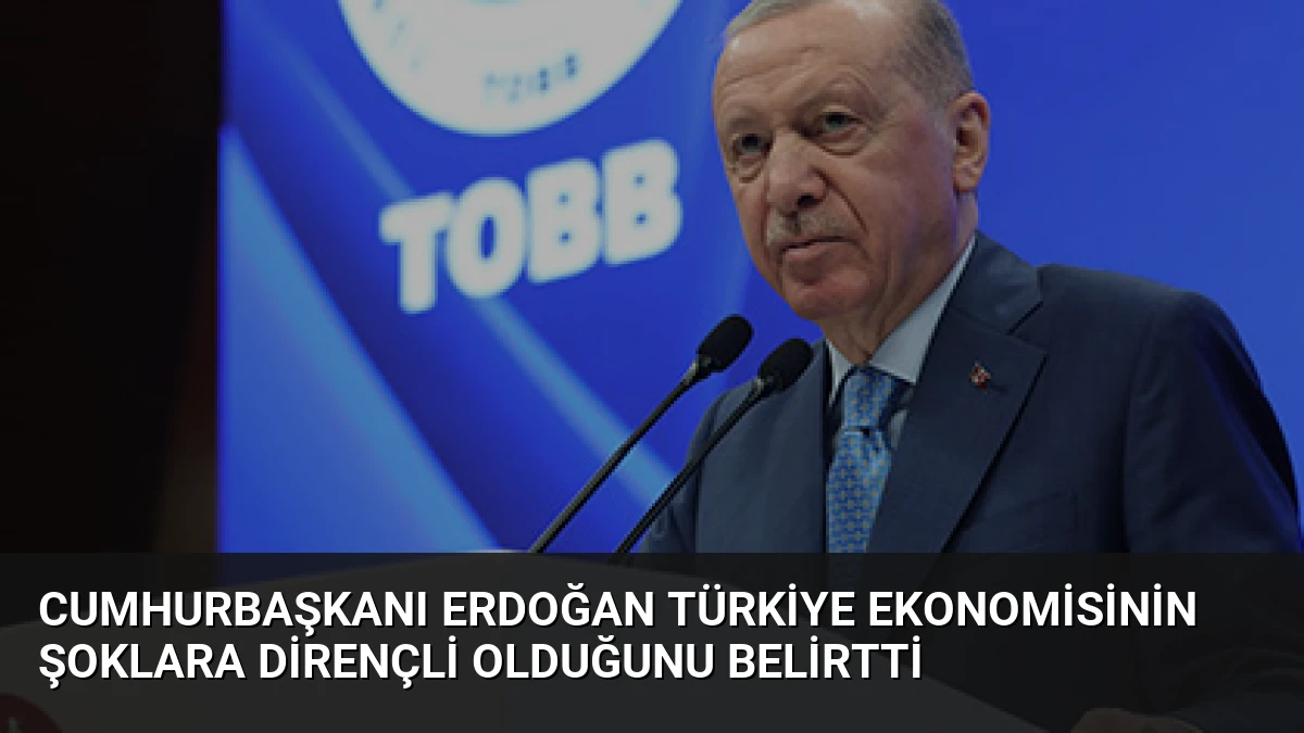 Cumhurbaşkanı Erdoğan Türkiye ekonomisinin şoklara dirençli olduğunu belirtti
