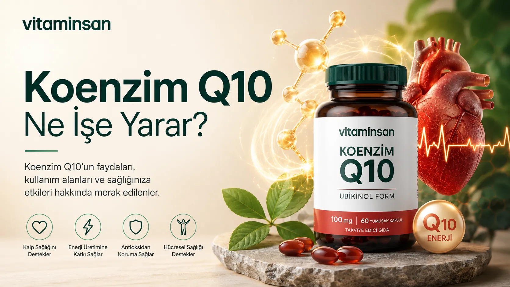 Koenzim Q10 Ne İşe Yarar?