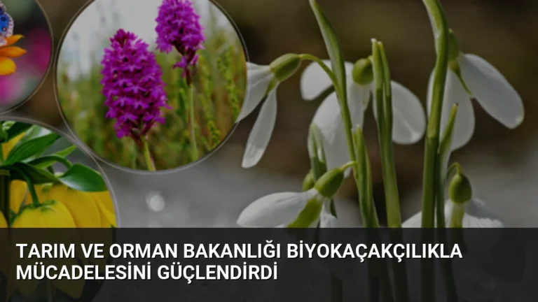 Tarım ve Orman Bakanlığı Biyokaçakçılıkla Mücadelesini Güçlendirdi