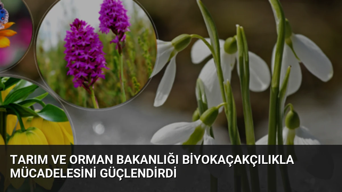 Tarım ve Orman Bakanlığı Biyokaçakçılıkla Mücadelesini Güçlendirdi