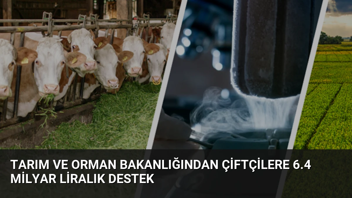 Tarım ve Orman Bakanlığından Çiftçilere 6.4 Milyar Liralık Destek