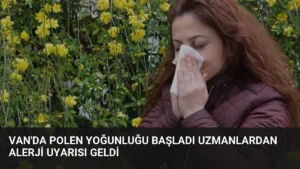 Van’da Polen Yoğunluğu Başladı Uzmanlardan Alerji Uyarısı Geldi