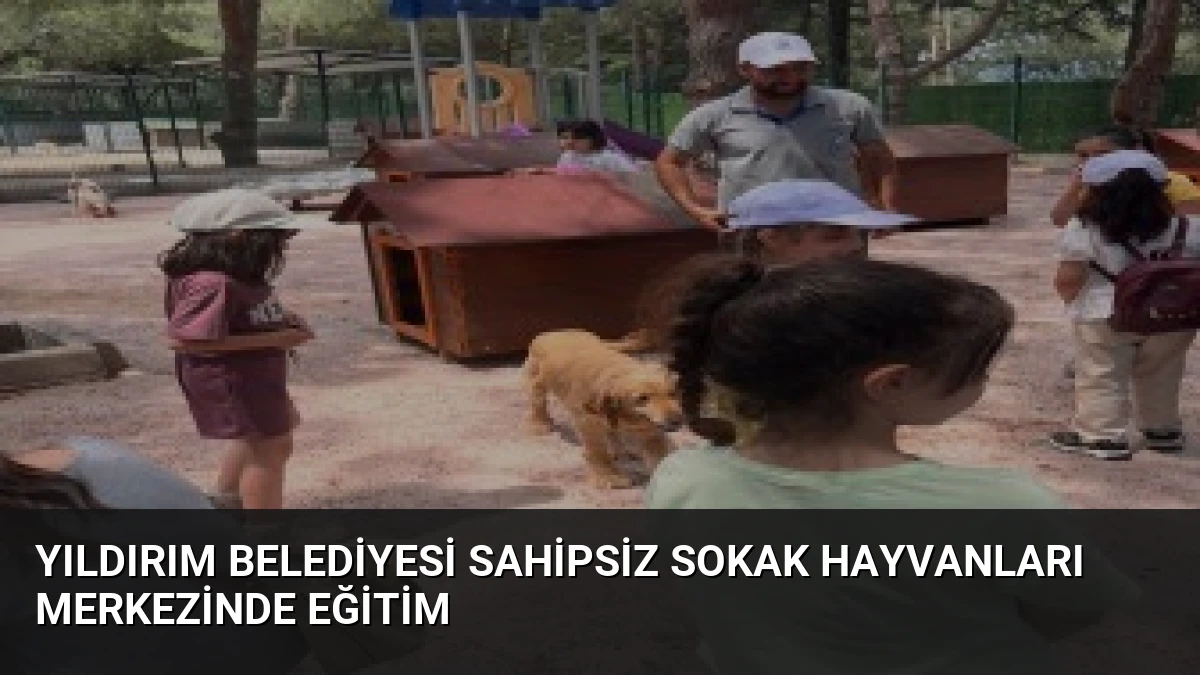 Yıldırım Belediyesi Sahipsiz Sokak Hayvanları Merkezinde Eğitim