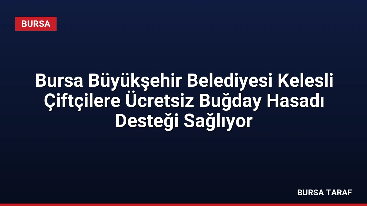 Bursa Büyükşehir Belediyesi Kelesli Çiftçilere Ücretsiz Buğday Hasadı Desteği Sağlıyor