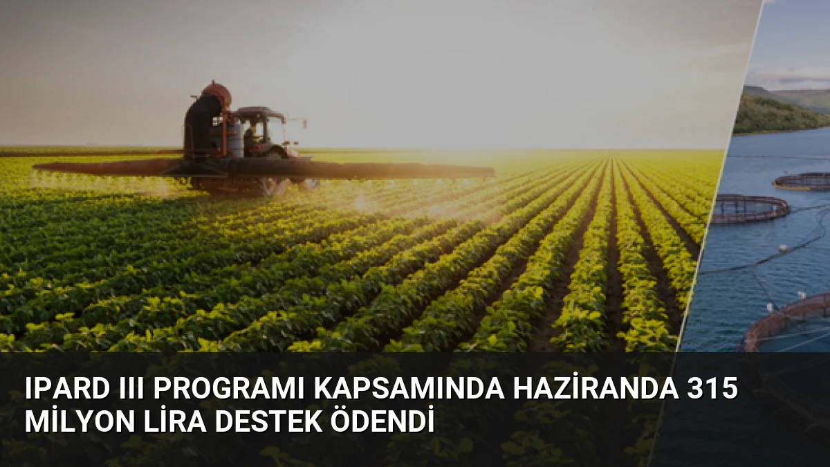 IPARD III Programı Kapsamında Haziranda 315 Milyon Lira Destek Ödendi