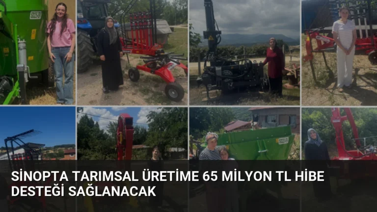 Sinopta Tarımsal Üretime 65 Milyon TL Hibe Desteği Sağlanacak
