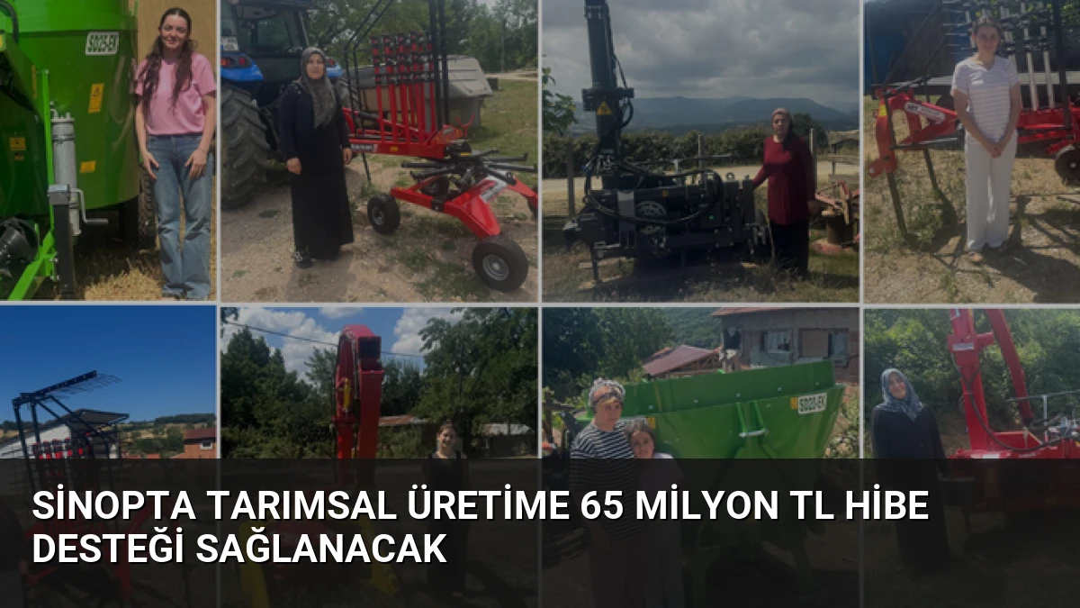 Sinopta Tarımsal Üretime 65 Milyon TL Hibe Desteği Sağlanacak