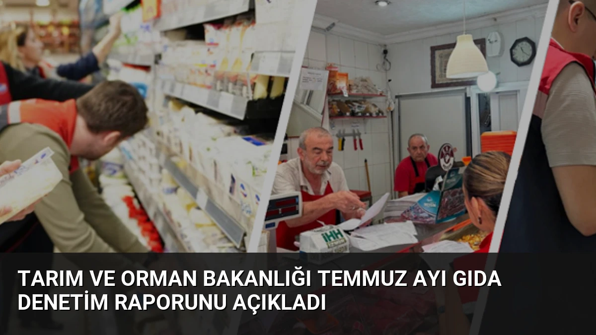 Tarım ve Orman Bakanlığı Temmuz Ayı Gıda Denetim Raporunu Açıkladı