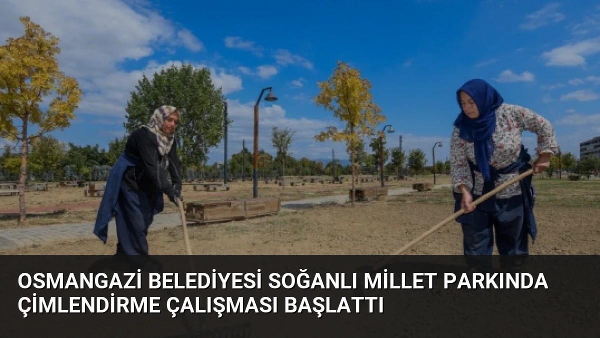 Osmangazi Belediyesi Soğanlı Millet Parkında Çimlendirme Çalışması Başlattı