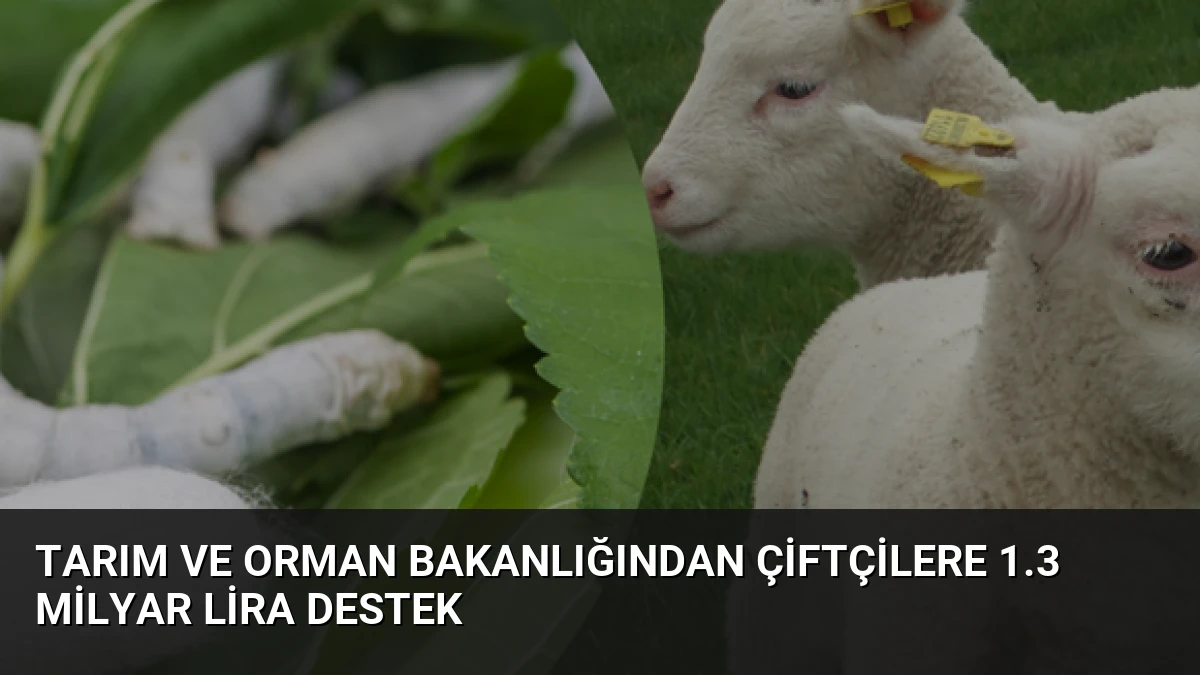 Tarım ve Orman Bakanlığından Çiftçilere 1.3 Milyar Lira Destek