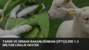 Tarım ve Orman Bakanlığından Çiftçilere 1.3 Milyar Liralık Destek