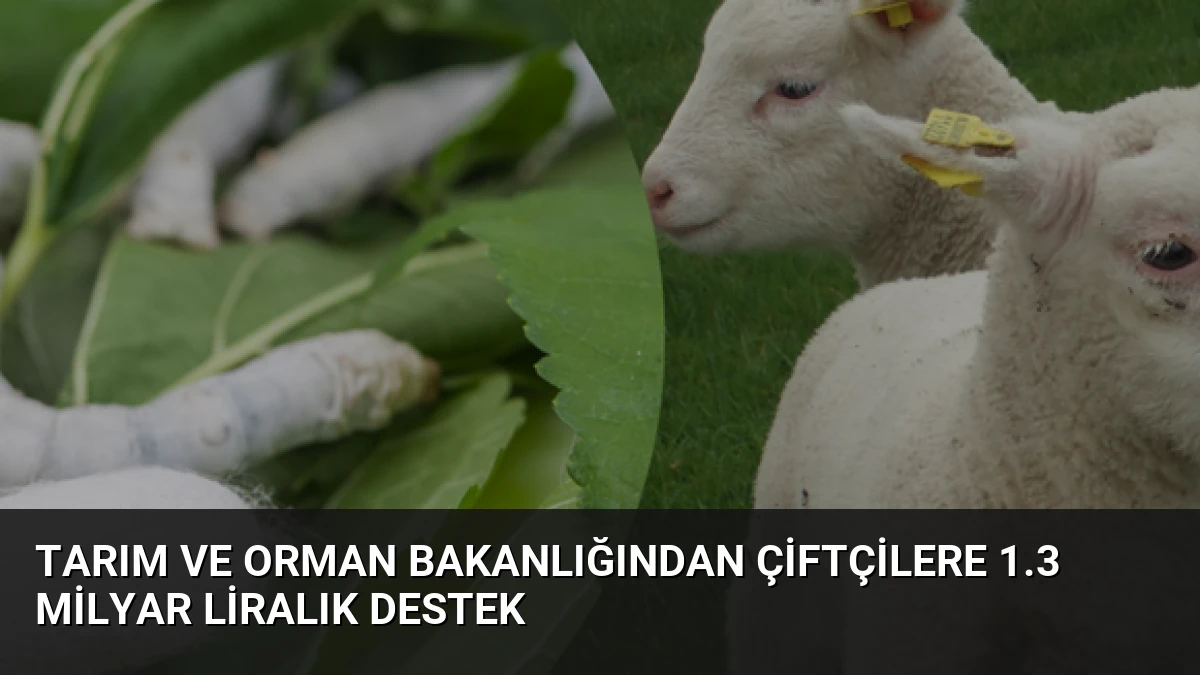 Tarım ve Orman Bakanlığından Çiftçilere 1.3 Milyar Liralık Destek