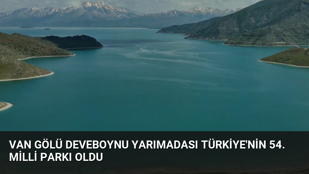 Van Gölü Deveboynu Yarımadası Türkiye’nin 54. Milli Parkı Oldu
