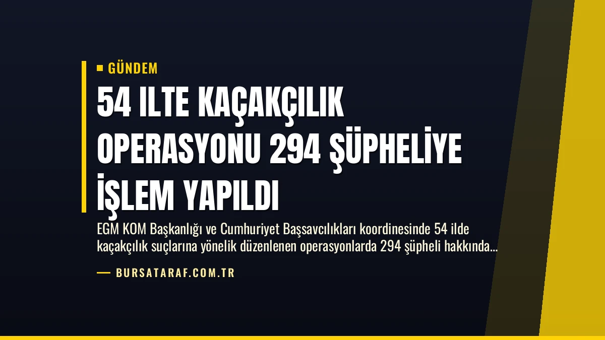 54 Ilte Kaçakçılık Operasyonu 294 Şüpheliye İşlem Yapıldı