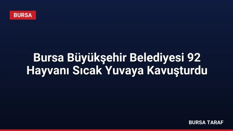 Bursa Büyükşehir Belediyesi 92 Hayvanı Sıcak Yuvaya Kavuşturdu