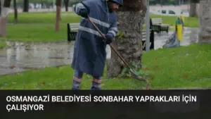 Osmangazi Belediyesi Sonbahar Yaprakları İçin Çalışıyor