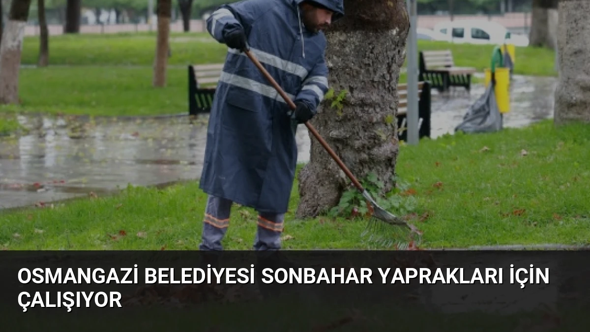 Osmangazi Belediyesi Sonbahar Yaprakları İçin Çalışıyor