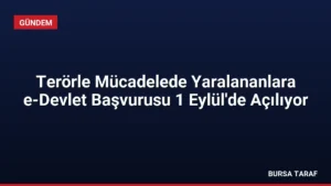 Terörle Mücadelede Yaralananlara e-Devlet Başvurusu 1 Eylül’de Açılıyor