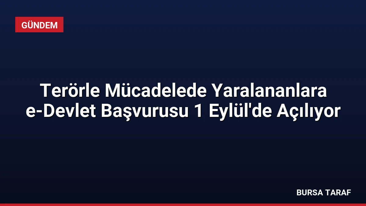 Terörle Mücadelede Yaralananlara e-Devlet Başvurusu 1 Eylül’de Açılıyor